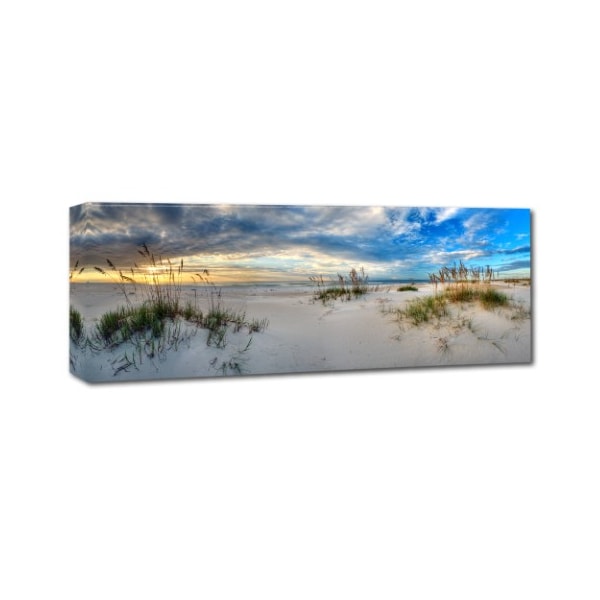 Doug Cavanah 'Beach Landscape' Canvas Art,6x19